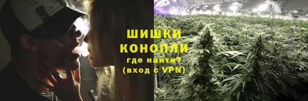 ГАЛЛЮЦИНОГЕННЫЕ ГРИБЫ Абдулино