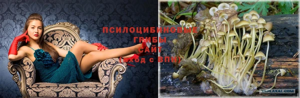 мескалин Алексин