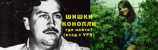 трава Ельня