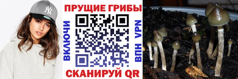 Псилоцибиновые грибы Magic Shrooms  Фролово 