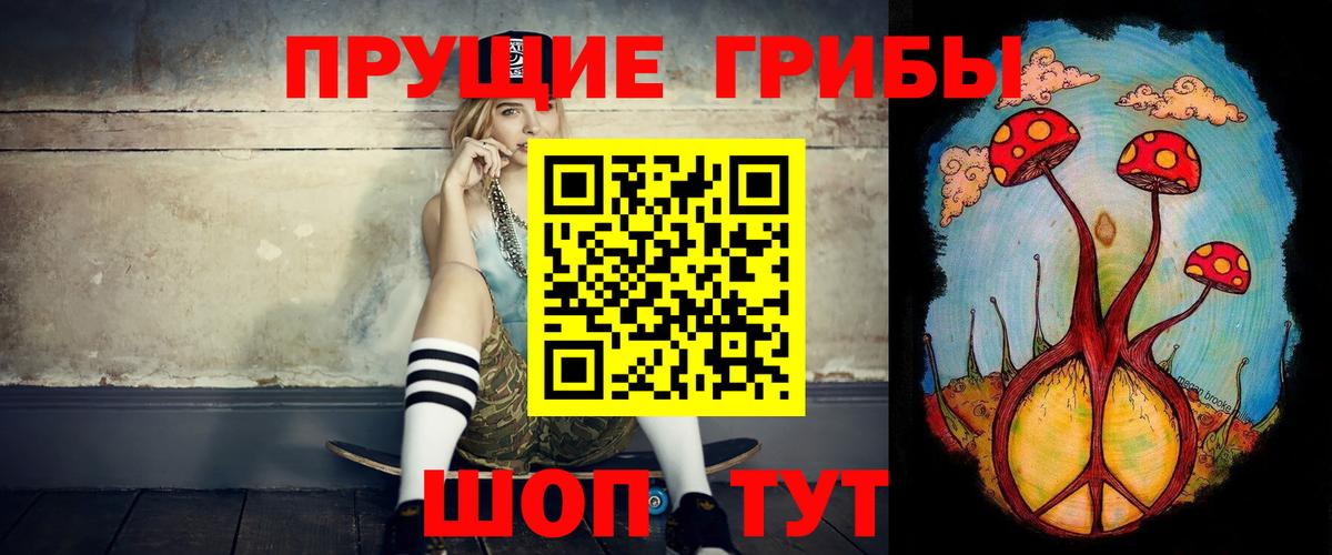 Галлюциногенные грибы MAGIC MUSHROOMS  купить наркотик  Фролово  Вход с VPN 